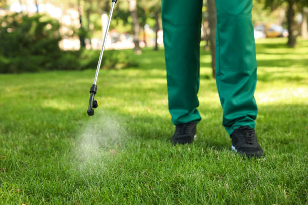 Best Emergency Pest Control  in Yoncalla, OR