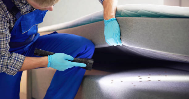Best Termite Control Services  in Yoncalla, OR