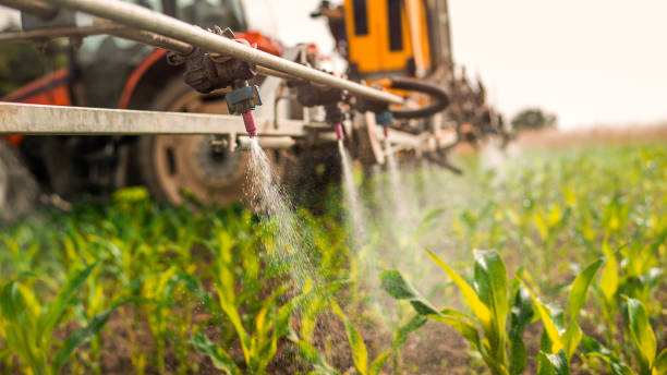 Pest Prevention Services in Yoncalla, OR